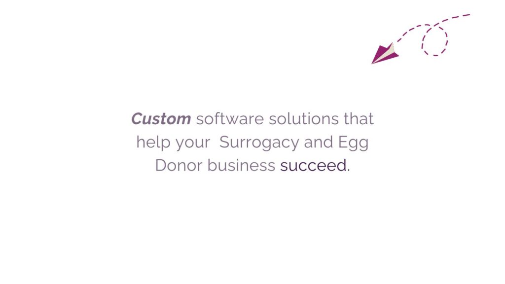 Custom software slide