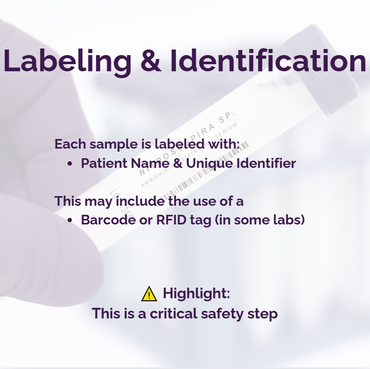 Slide: Labeling