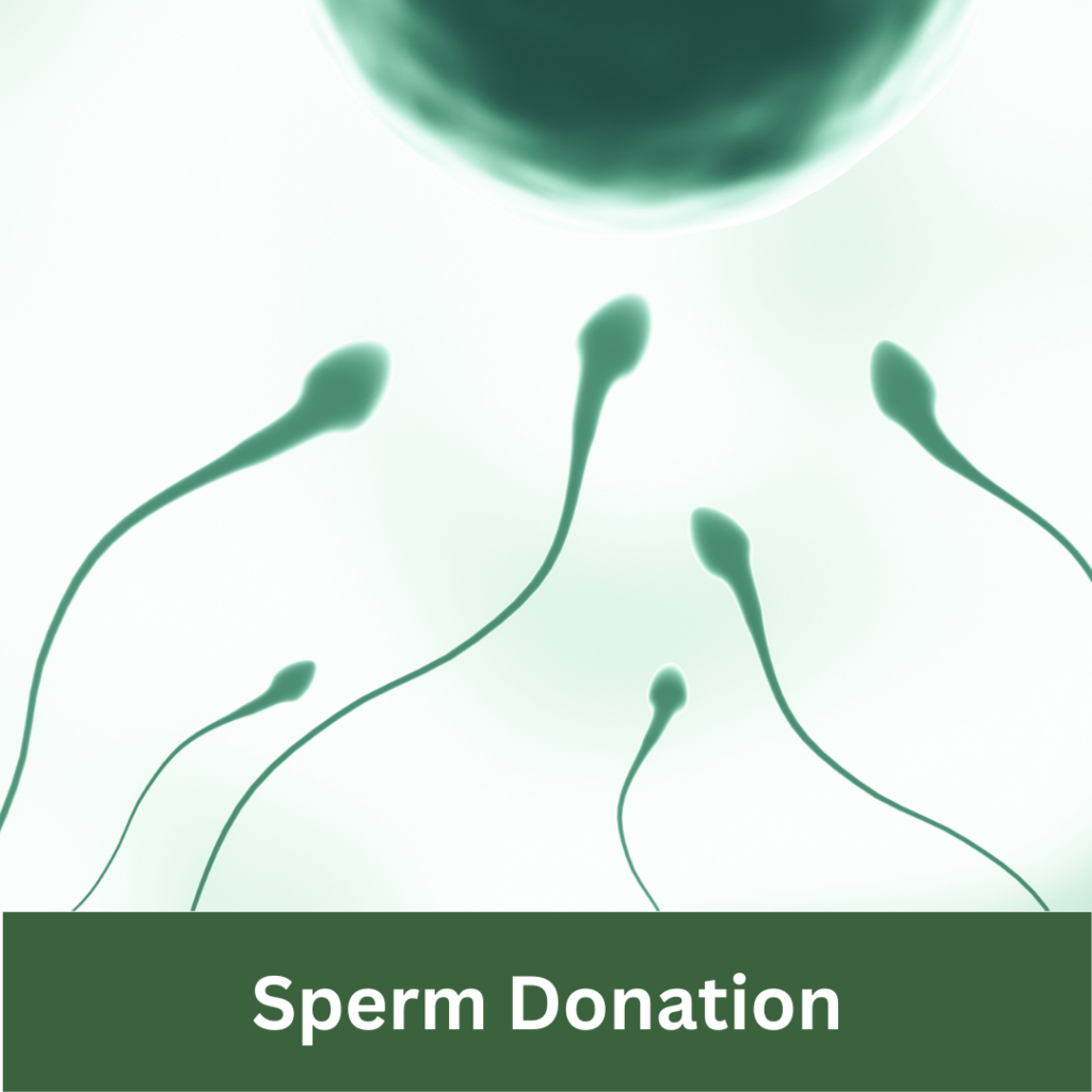 articles about surrogacy and egg donation and Article Label is Sperm Donation