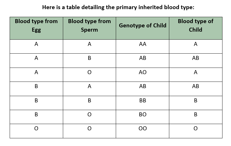 Understanding Blood Types table of blood genotypes that a child can inherit