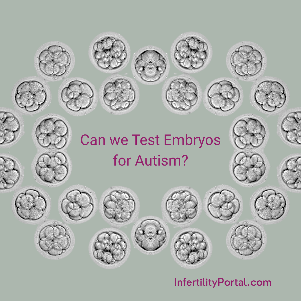 Testing Embryos for Autism