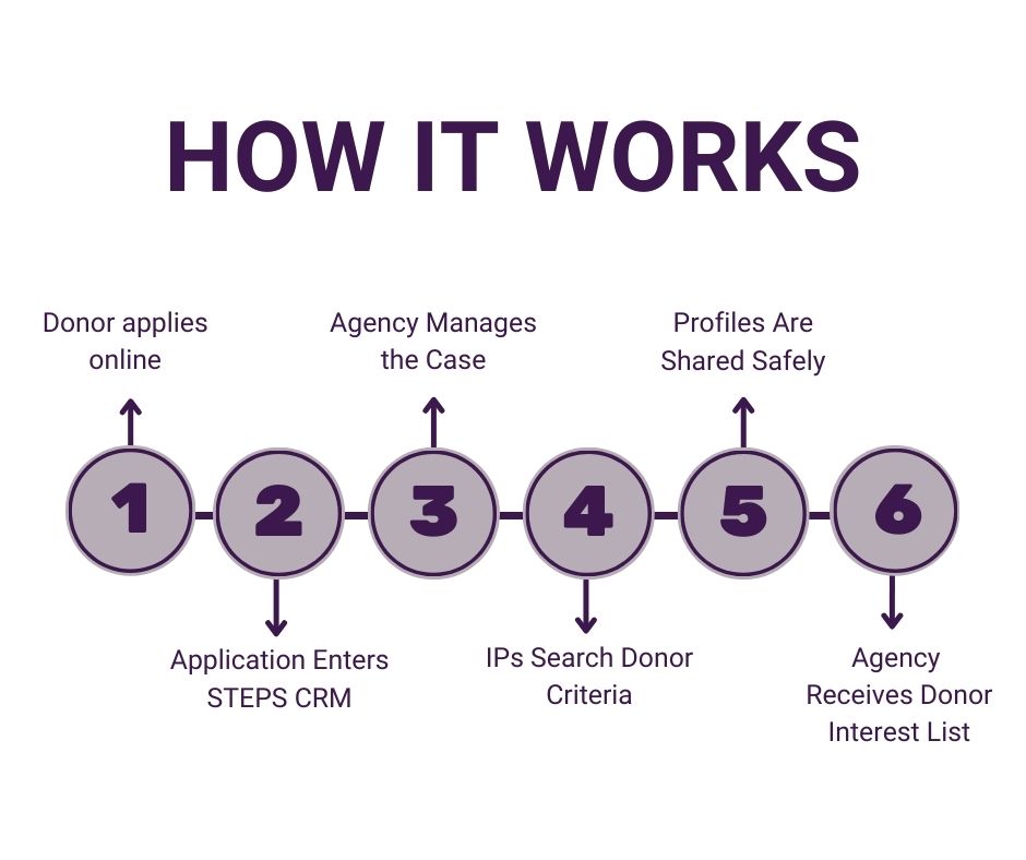 How egg donation works