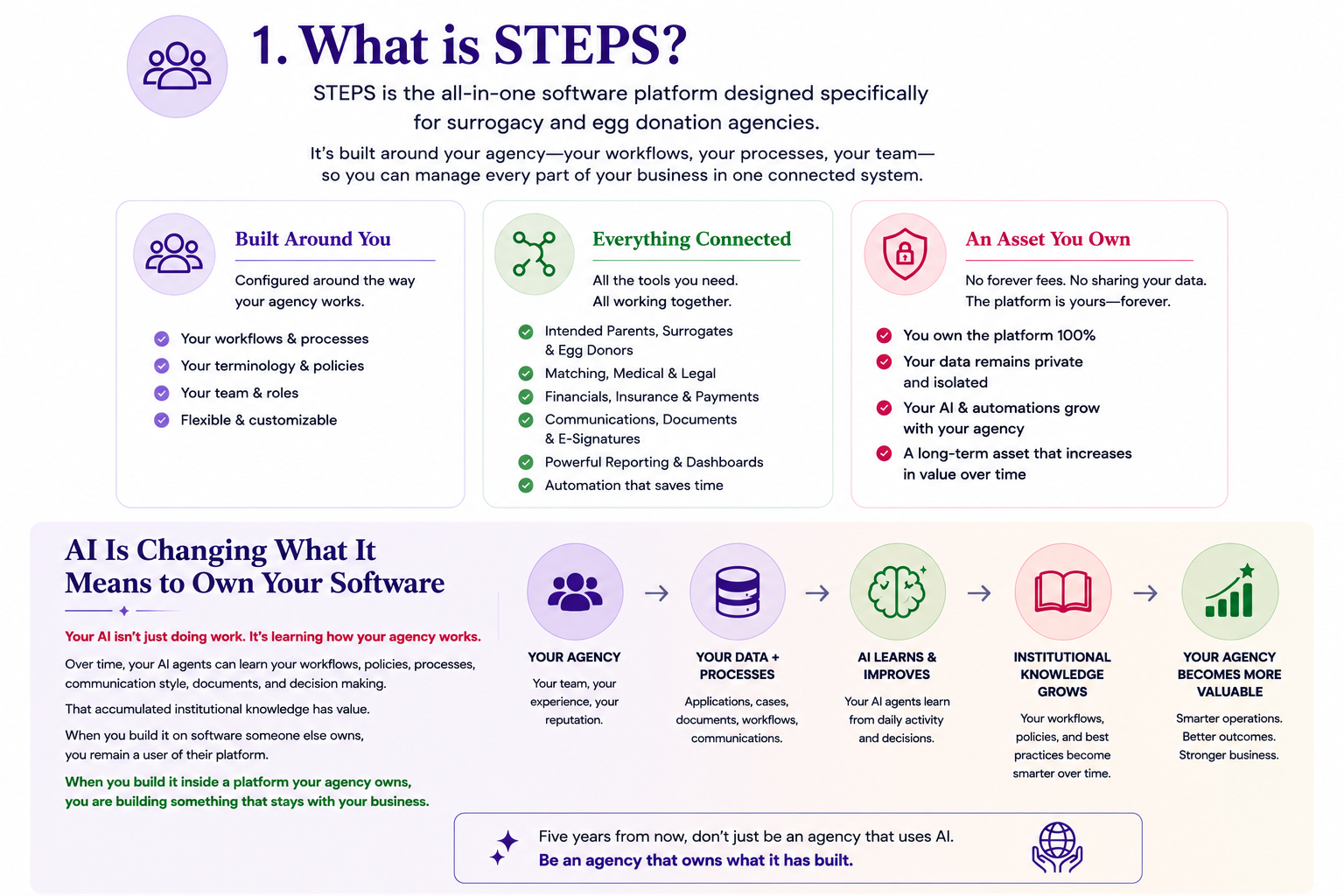What is STEPS