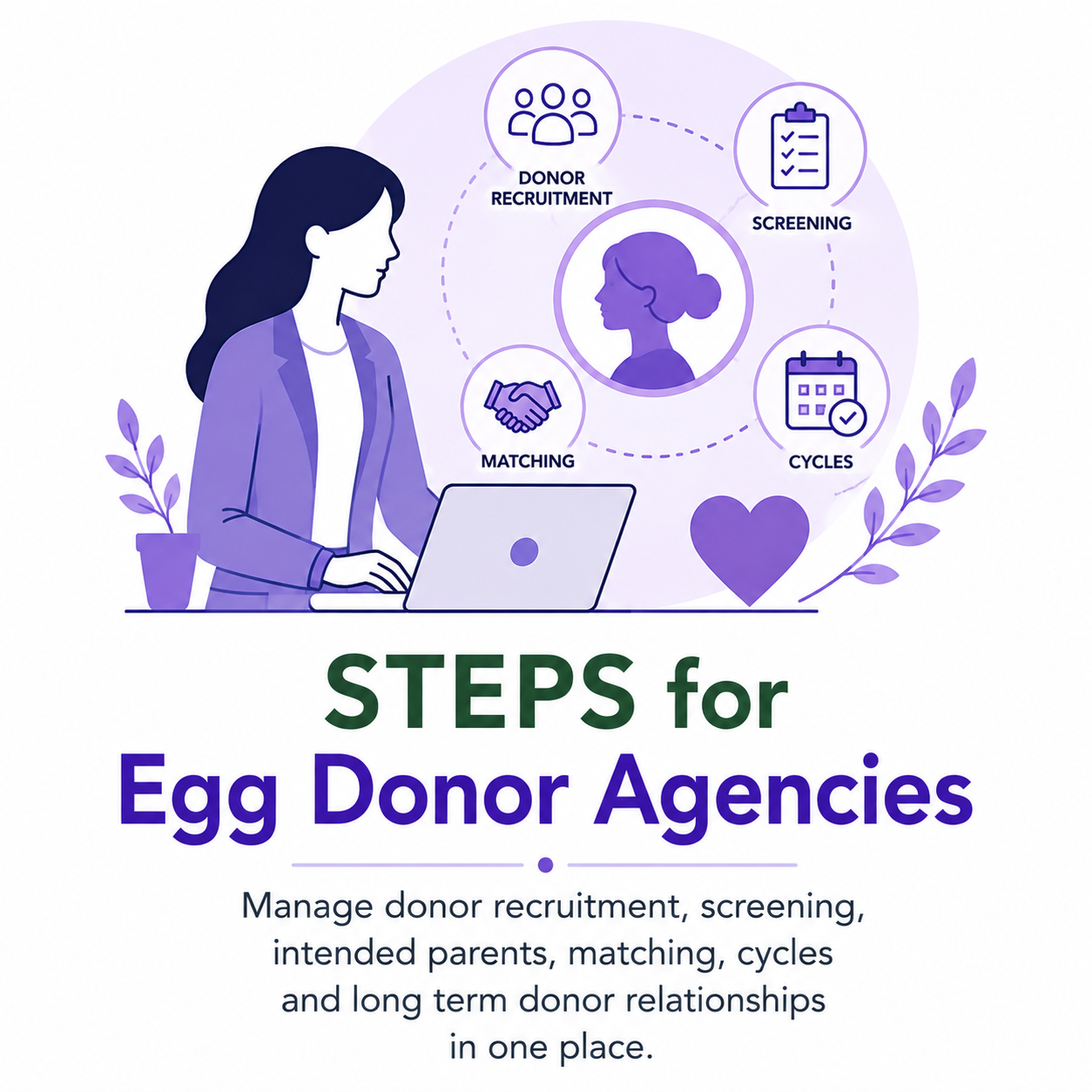 STEPS for Egg Donor agencies