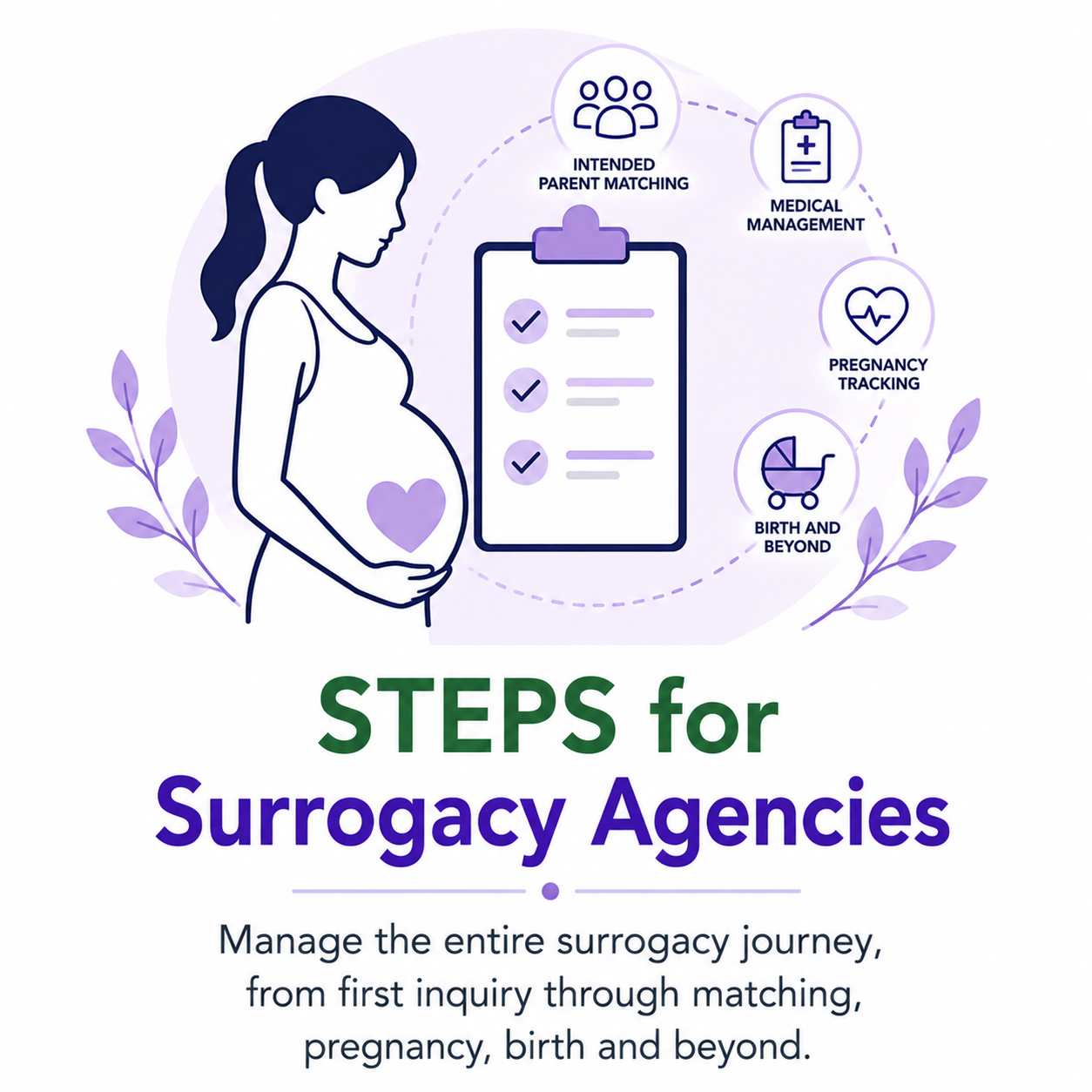 STEPS for Surrogacy agencies