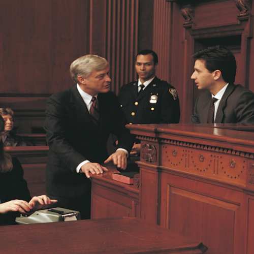 Expert Witness