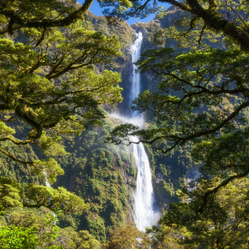 New Zealand v3