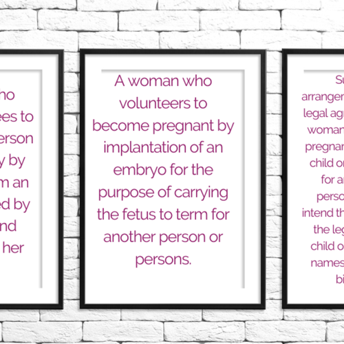 The Definition of Surrogacy sign