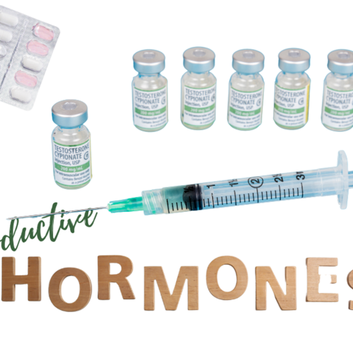 Understanding Reproductive Hormones and injections